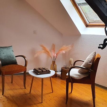 Loft Gaia Lejlighed Brunstatt-Didenheim Eksteriør billede