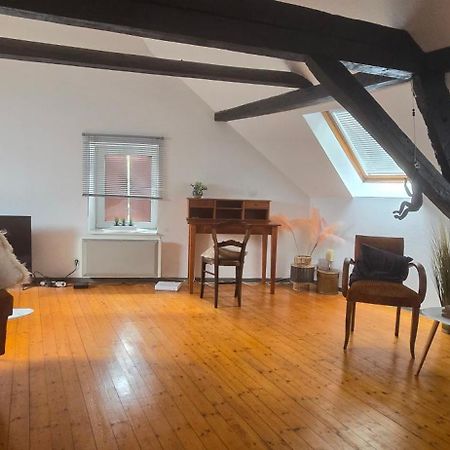 Loft Gaia Lejlighed Brunstatt-Didenheim Eksteriør billede